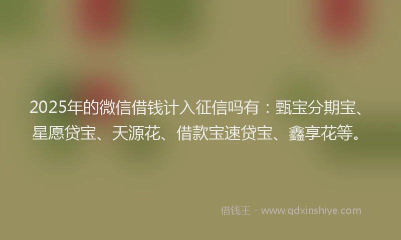 2025年的微信借钱计入征信吗有：甄宝分期宝、星愿贷宝、天源花、借款宝速贷宝、鑫享花等。