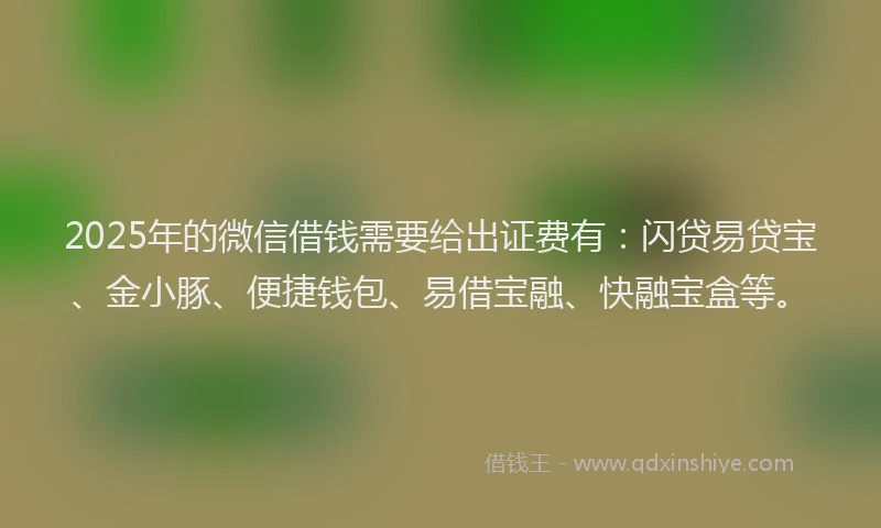 2025年的微信借钱需要给出证费有：闪贷易贷宝、金小豚、便捷钱包、易借宝融、快融宝盒等。