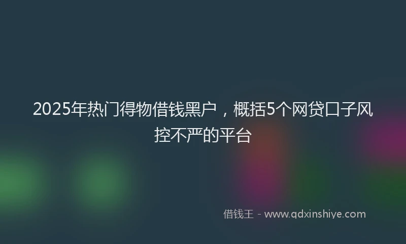 2025年热门得物借钱黑户，概括5个网贷口子风控不严的平台