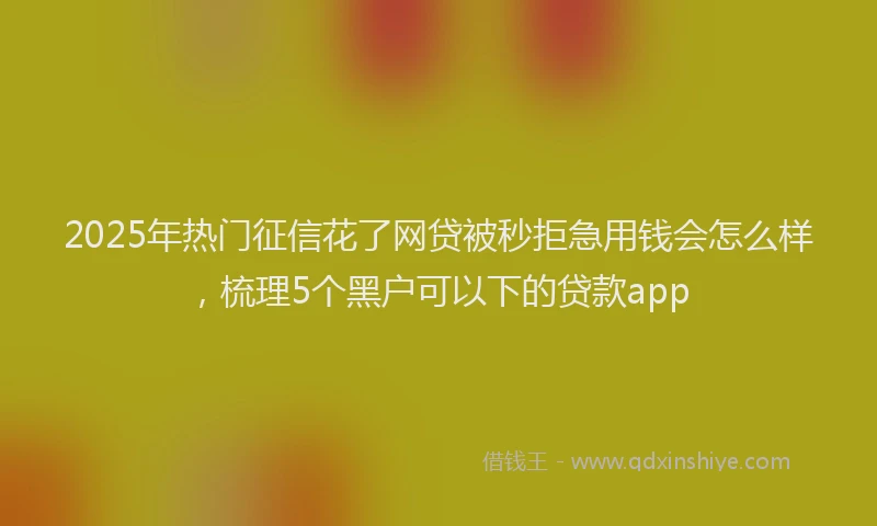 2025年热门征信花了网贷被秒拒急用钱会怎么样，梳理5个黑户可以下的贷款app