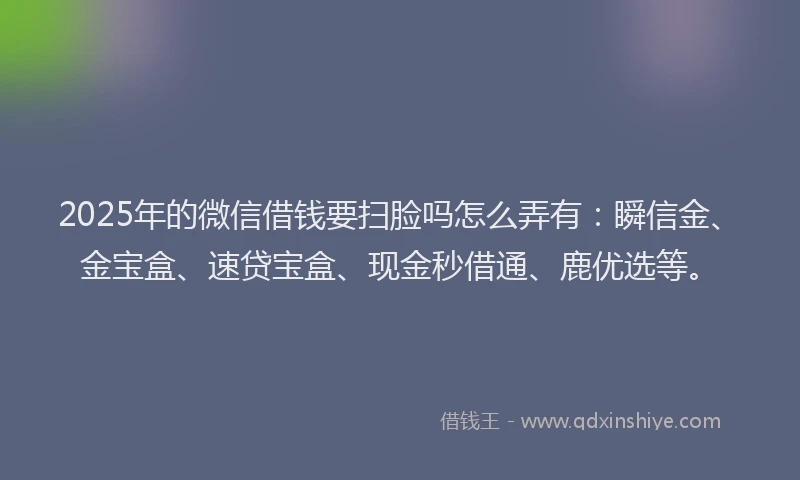 2025年的微信借钱要扫脸吗怎么弄有：瞬信金、金宝盒、速贷宝盒、现金秒借通、鹿优选等。