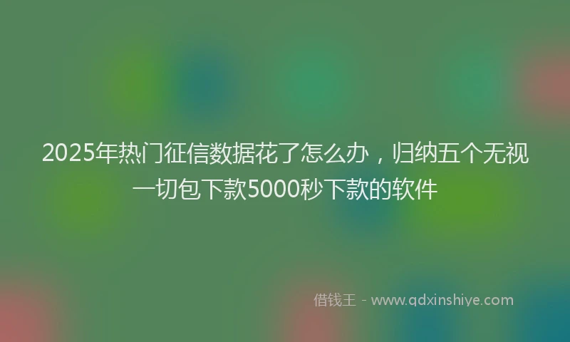 2025年热门征信数据花了怎么办，归纳五个无视一切包下款5000秒下款的软件