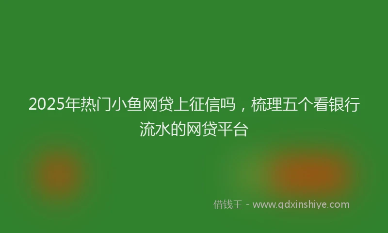 2025年热门小鱼网贷上征信吗，梳理五个看银行流水的网贷平台