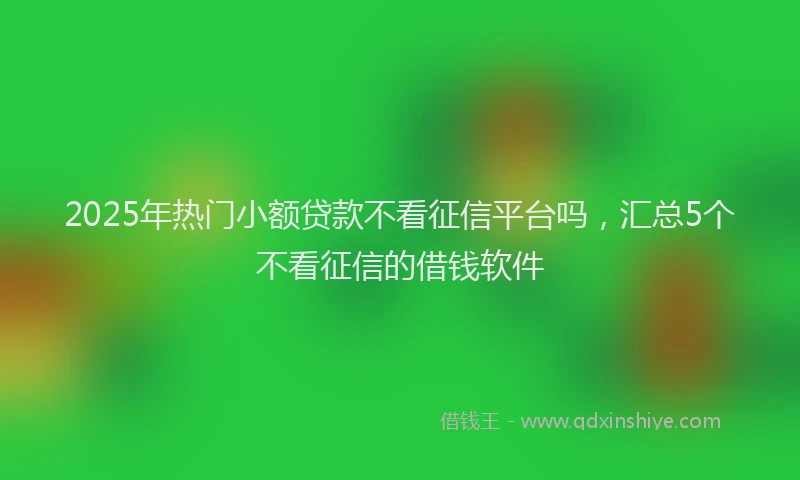 2025年热门小额贷款不看征信平台吗，汇总5个不看征信的借钱软件