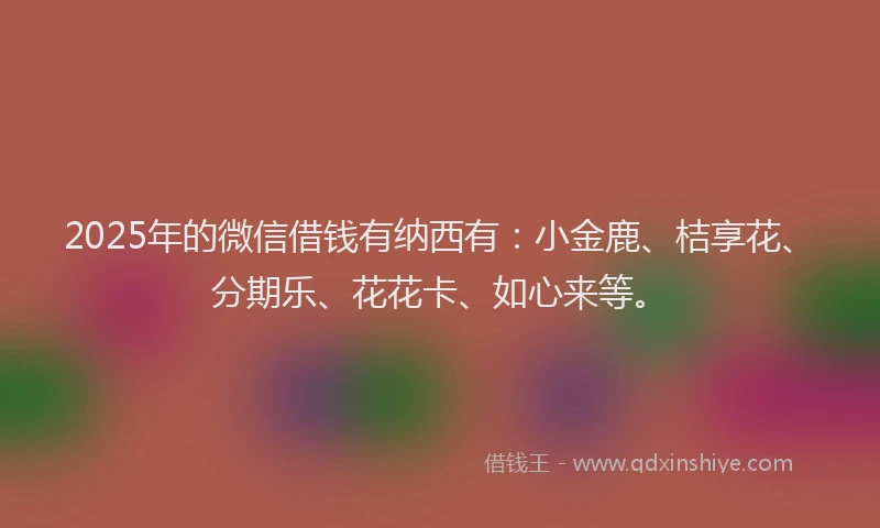 2025年的微信借钱有纳西有：小金鹿、桔享花、分期乐、花花卡、如心来等。