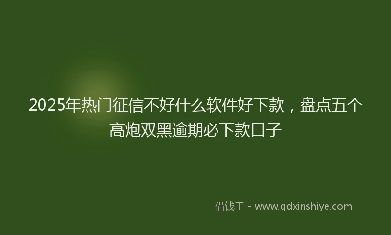 2025年热门征信不好什么软件好下款，盘点五个高炮双黑逾期必下款口子