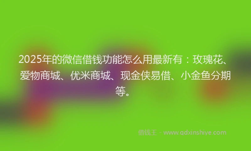 2025年的微信借钱功能怎么用最新有：玫瑰花、爱物商城、优米商城、现金侠易借、小金鱼分期等。