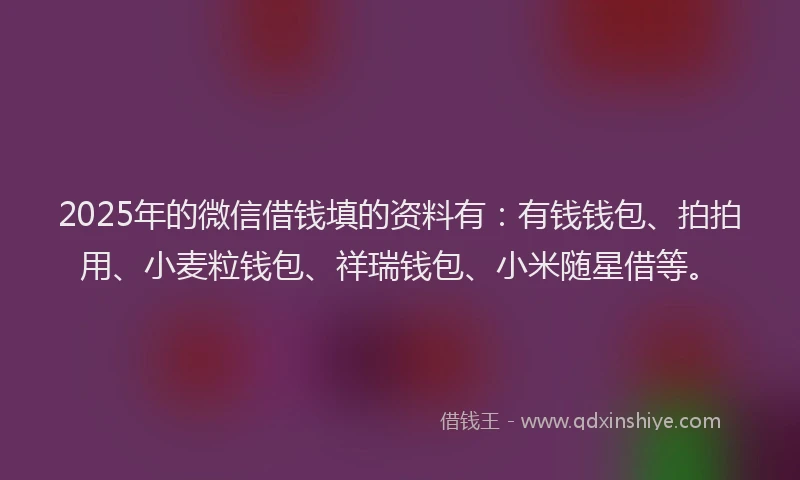 2025年的微信借钱填的资料有：有钱钱包、拍拍用、小麦粒钱包、祥瑞钱包、小米随星借等。