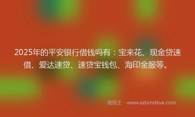 2025年的平安银行借钱吗有：宝来花、现金贷速借、爱达速贷、速贷宝钱包、海印金服等。