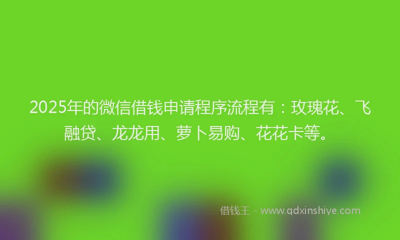 2025年的微信借钱申请程序流程有：玫瑰花、飞融贷、龙龙用、萝卜易购、花花卡等。