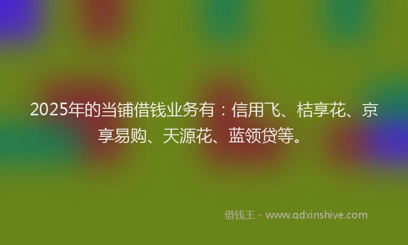 2025年的当铺借钱业务有：信用飞、桔享花、京享易购、天源花、蓝领贷等。