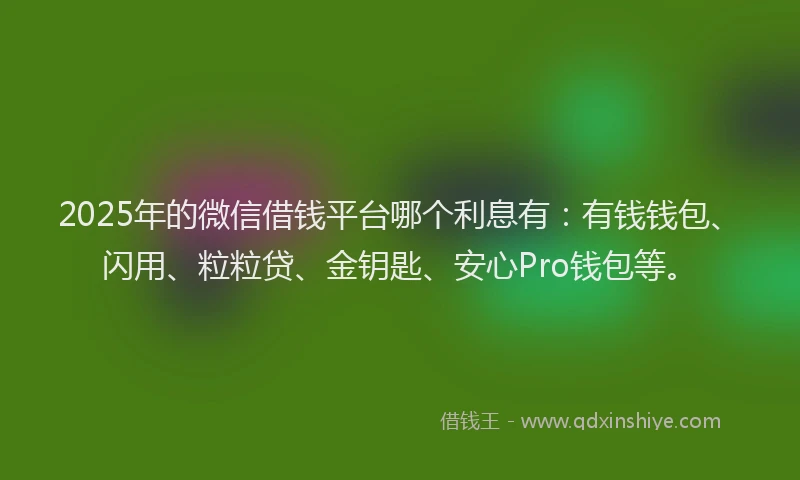 2025年的微信借钱平台哪个利息有：有钱钱包、闪用、粒粒贷、金钥匙、安心Pro钱包等。