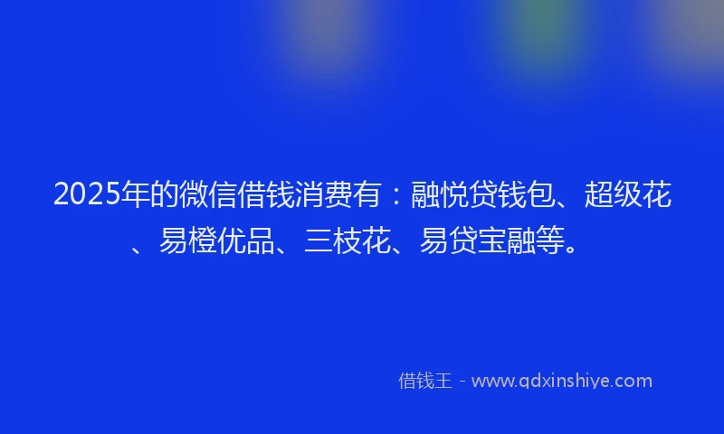 2025年的微信借钱消费有：融悦贷钱包、超级花、易橙优品、三枝花、易贷宝融等。