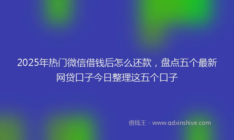 2025年热门微信借钱后怎么还款，盘点五个最新网贷口子今日整理这五个口子