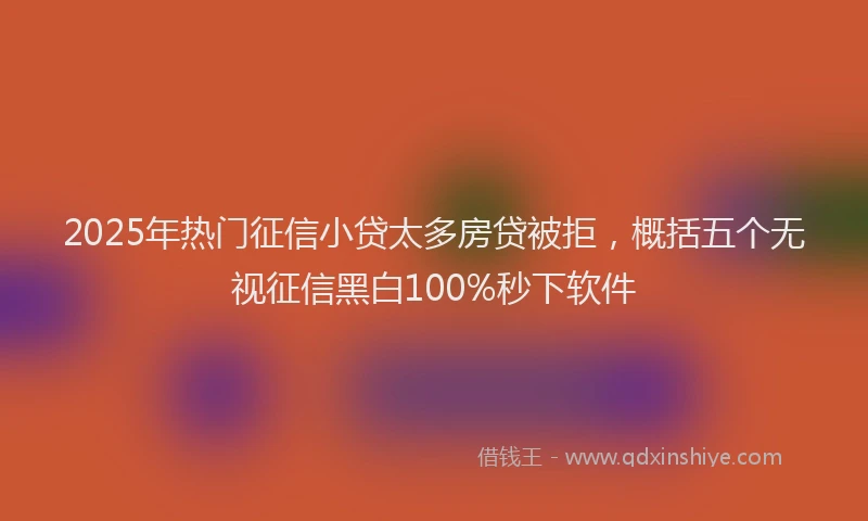 2025年热门征信小贷太多房贷被拒，概括五个无视征信黑白100%秒下软件