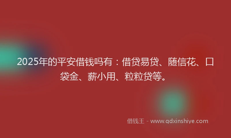 2025年的平安借钱吗有：借贷易贷、随信花、口袋金、薪小用、粒粒贷等。
