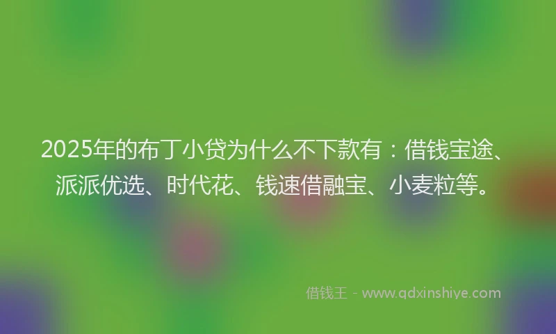 2025年的布丁小贷为什么不下款有：借钱宝途、派派优选、时代花、钱速借融宝、小麦粒等。
