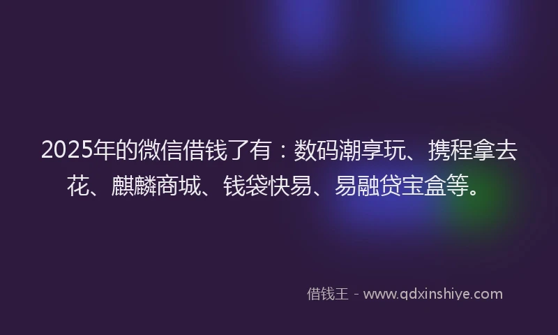 2025年的微信借钱了有：数码潮享玩、携程拿去花、麒麟商城、钱袋快易、易融贷宝盒等。