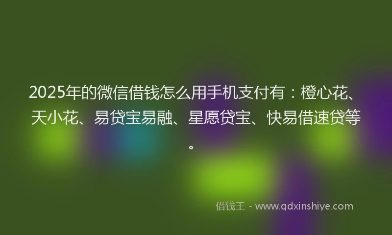 2025年的微信借钱怎么用手机支付有：橙心花、天小花、易贷宝易融、星愿贷宝、快易借速贷等。