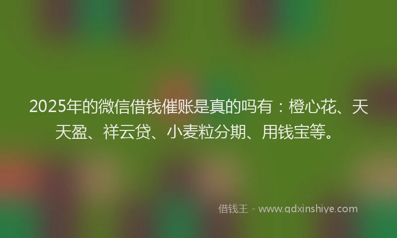 2025年的微信借钱催账是真的吗有：橙心花、天天盈、祥云贷、小麦粒分期、用钱宝等。