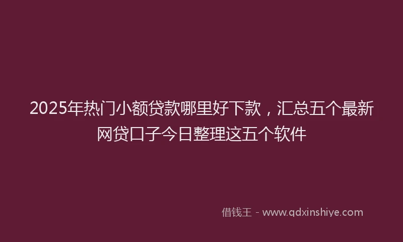 2025年热门小额贷款哪里好下款，汇总五个最新网贷口子今日整理这五个软件