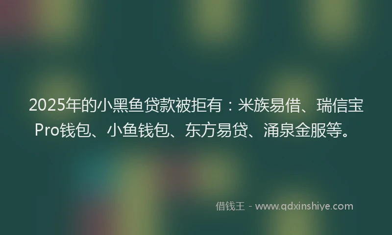 2025年的小黑鱼贷款被拒有：米族易借、瑞信宝Pro钱包、小鱼钱包、东方易贷、涌泉金服等。