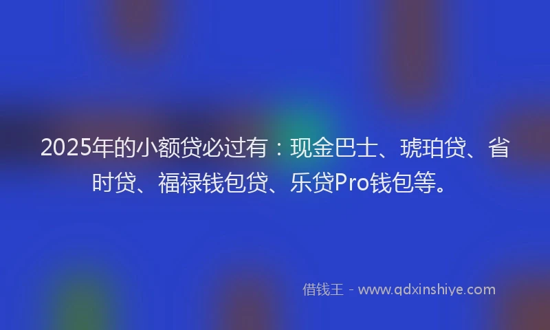 2025年的小额贷必过有：现金巴士、琥珀贷、省时贷、福禄钱包贷、乐贷Pro钱包等。