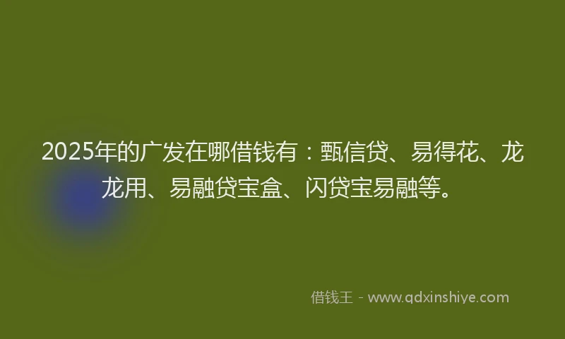 2025年的广发在哪借钱有:甄信贷、易得花、龙龙用、易融贷宝盒、闪贷宝易融等。