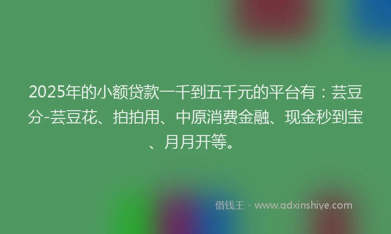 2025年的小额贷款一千到五千元的平台有：芸豆分-芸豆花、拍拍用、中原消费金融、现金秒到宝、月月开等。