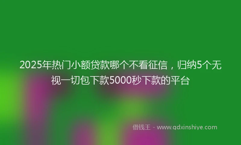 2025年热门小额贷款哪个不看征信，归纳5个无视一切包下款5000秒下款的平台