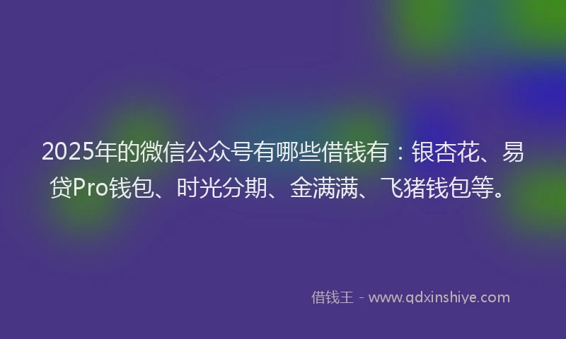 2025年的微信公众号有哪些借钱有：银杏花、易贷Pro钱包、时光分期、金满满、飞猪钱包等。