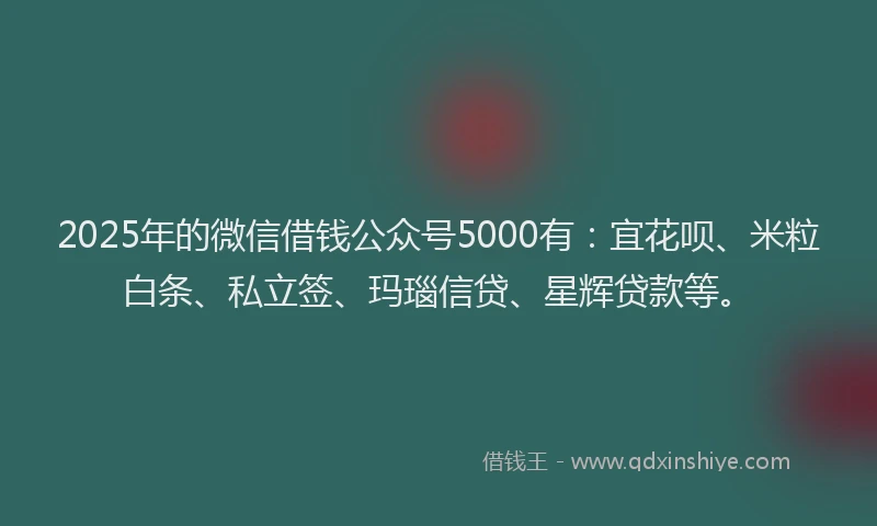 2025年的微信借钱公众号5000有：宜花呗、米粒白条、私立签、玛瑙信贷、星辉贷款等。