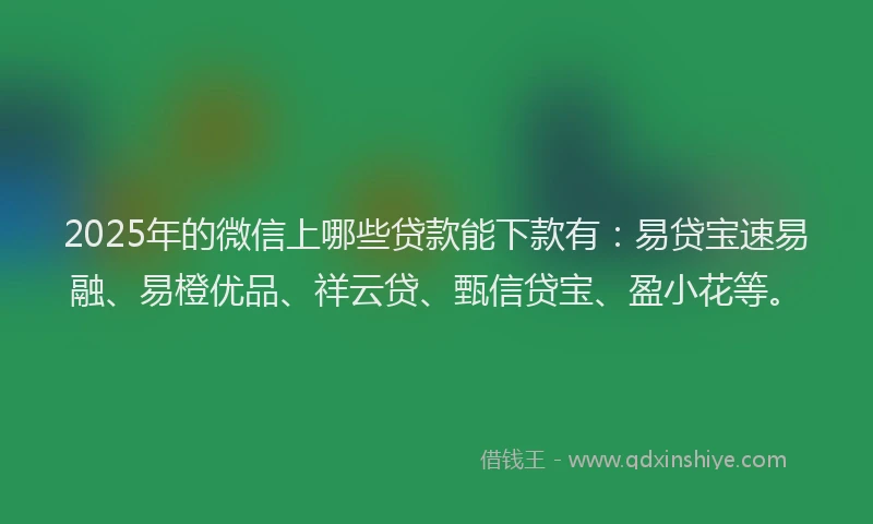2025年的微信上哪些贷款能下款有:易贷宝速易融、易橙优品、祥云贷、甄信贷宝、盈小花等。