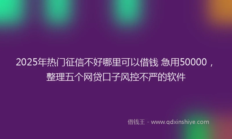 2025年热门征信不好哪里可以借钱 急用50000，整理五个网贷口子风控不严的软件