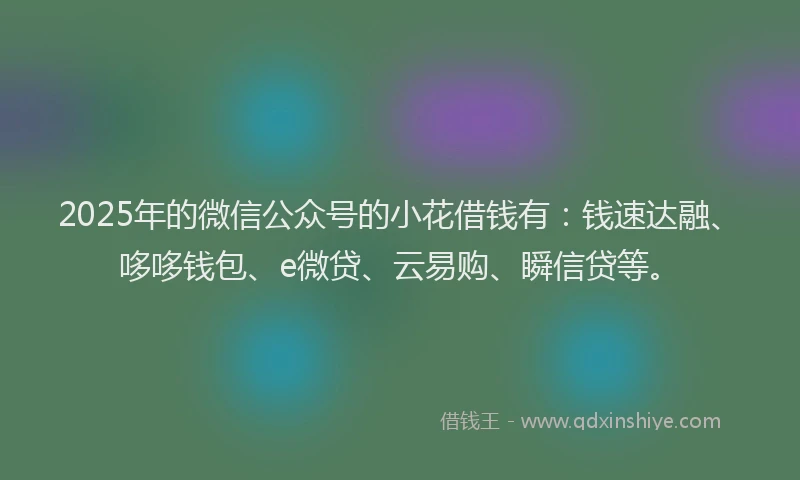 2025年的微信公众号的小花借钱有：钱速达融、哆哆钱包、e微贷、云易购、瞬信贷等。