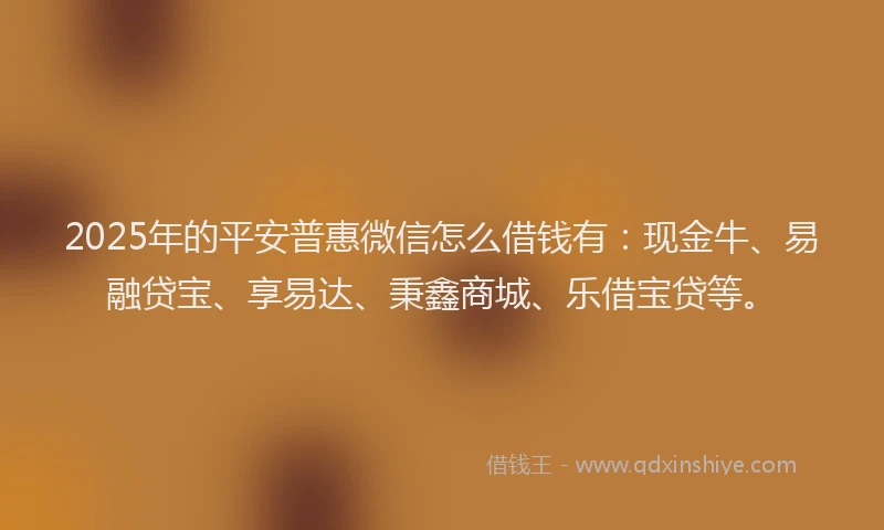 2025年的平安普惠微信怎么借钱有：现金牛、易融贷宝、享易达、秉鑫商城、乐借宝贷等。