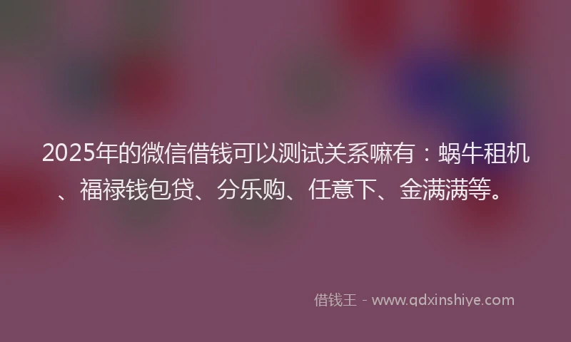 2025年的微信借钱可以测试关系嘛有：蜗牛租机、福禄钱包贷、分乐购、任意下、金满满等。