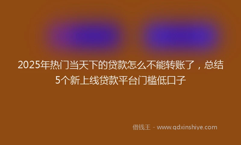2025年热门当天下的贷款怎么不能转账了，总结5个新上线贷款平台门槛低口子