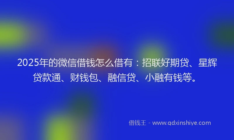 2025年的微信借钱怎么借有：招联好期贷、星辉贷款通、财钱包、融信贷、小融有钱等。