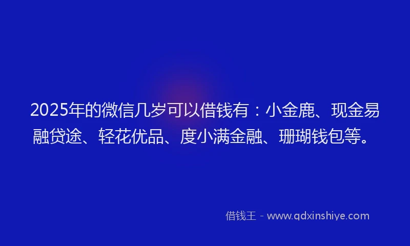 2025年的微信几岁可以借钱有：小金鹿、现金易融贷途、轻花优品、度小满金融、珊瑚钱包等。