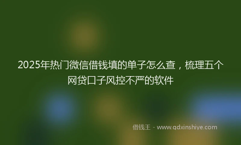 2025年热门微信借钱填的单子怎么查，梳理五个网贷口子风控不严的软件