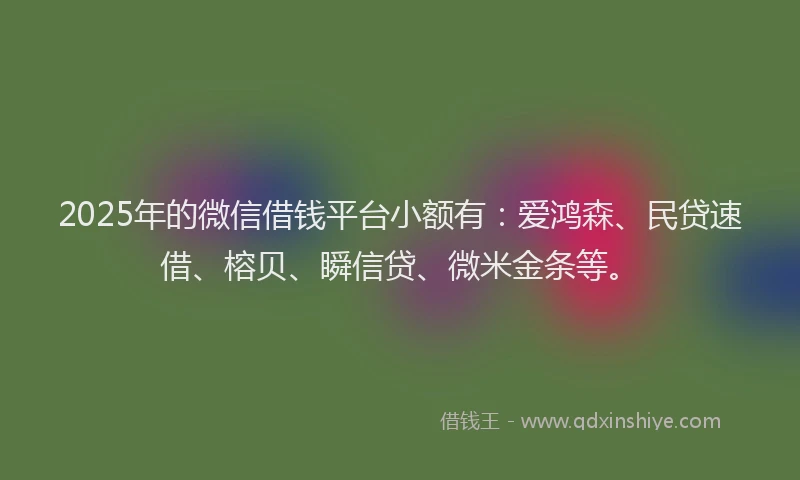2025年的微信借钱平台小额有：爱鸿森、民贷速借、榕贝、瞬信贷、微米金条等。