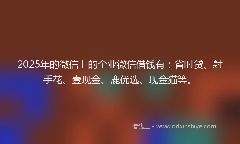 2025年的微信上的企业微信借钱有：省时贷、射手花、壹现金、鹿优选、现金猫等。