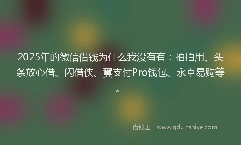 2025年的微信借钱为什么我没有有：拍拍用、头条放心借、闪借侠、翼支付Pro钱包、永卓易购等。