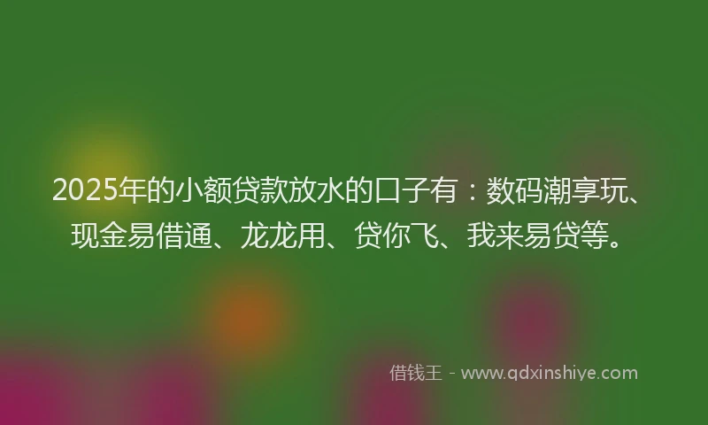 2025年的小额贷款放水的口子有：数码潮享玩、现金易借通、龙龙用、贷你飞、我来易贷等。
