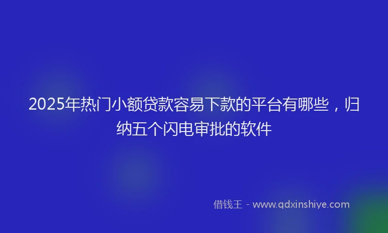 2025年热门小额贷款容易下款的平台有哪些，归纳五个闪电审批的软件