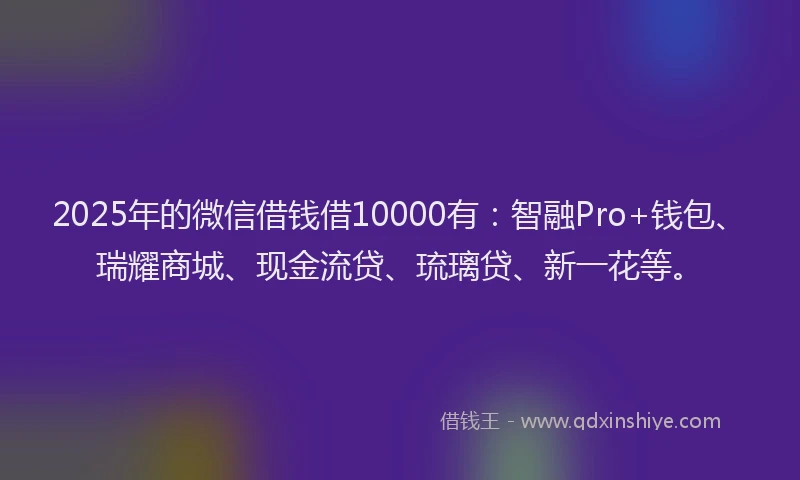 2025年的微信借钱借10000有：智融Pro+钱包、瑞耀商城、现金流贷、琉璃贷、新一花等。