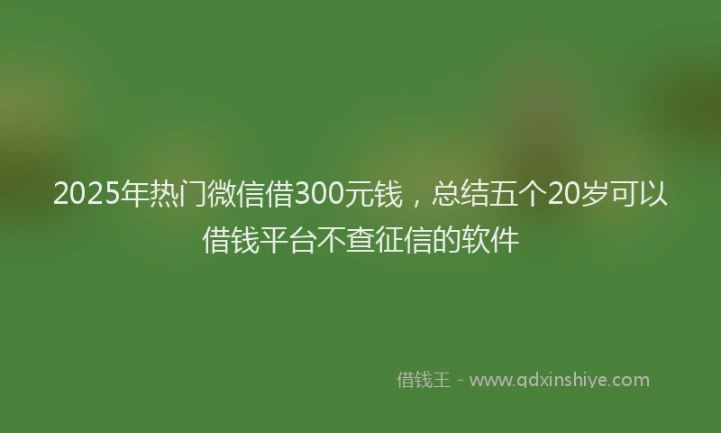2025年热门微信借300元钱，总结五个20岁可以借钱平台不查征信的软件