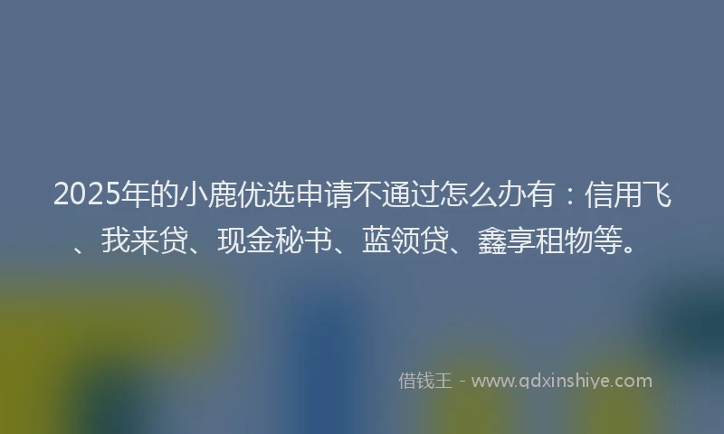 2025年的小鹿优选申请不通过怎么办有：信用飞、我来贷、现金秘书、蓝领贷、鑫享租物等。
