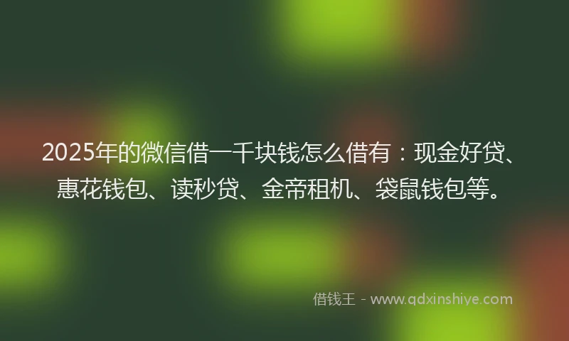 2025年的微信借一千块钱怎么借有：现金好贷、惠花钱包、读秒贷、金帝租机、袋鼠钱包等。